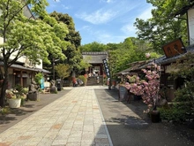 【東京都/調布市調布ケ丘】調布市調布ケ丘四丁目戸建　3号棟 深大寺（現地より約990m）：徒歩13分