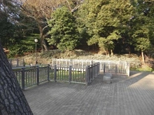 【東京都/世田谷区上野毛】世田谷区上野毛2丁目　中古戸建  上野毛自然公園（現地より約310m）