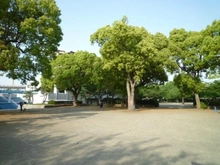 【神奈川県/川崎市中原区小杉陣屋町】川崎市中原区小杉陣屋町一丁目　中古戸建 等々力緑地（現地より約717m）