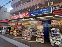 【東京都/小平市小川町】小平市小川町2丁目　戸建 サンドラッグ一橋学園店（現地より約490m）