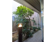 【兵庫県/神戸市灘区弓木町】神戸市灘区弓木町五丁目　中古戸建 庭