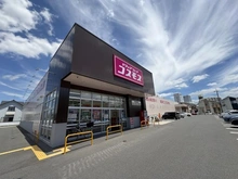 【埼玉県/さいたま市岩槻区大字上野】さいたま市岩槻区大字上野　中古戸建 ドラッグストアコスモス　東岩槻店（現地より約650m）：