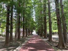 【埼玉県/さいたま市南区別所】さいたま市南区別所4丁目　中古戸建 別所沼公園（現地より約220m）：