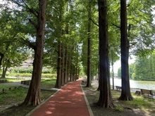 【埼玉県/さいたま市南区別所】さいたま市南区別所4丁目　中古戸建 別所沼公園（現地より約220m）：