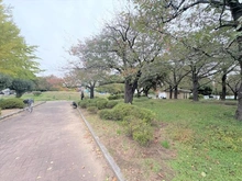 【神奈川県/川崎市川崎区台町】川崎区台町新築戸建　B号棟 大師公園（現地より約30m）：