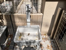 【埼玉県/さいたま市西区西大宮】さいたま市西区西大宮1丁目 トヨタホーム旧分譲 一戸建 立水栓