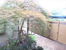 【東京都/武蔵村山市中央】武蔵村山市中央2丁目　戸建 庭：中庭