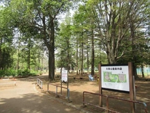 【東京都/武蔵村山市学園】武蔵村山市学園4丁目　新築戸建　B号棟 大南公園（現地より約1,150m）