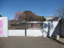 【東京都/調布市東つつじケ丘】調布市東つつじヶ丘2丁目　新築戸建　1号棟 調布白菊幼稚園（現地より約270m）