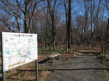 【東京都/昭島市代官山】昭島市代官山1丁目　中古戸建  昭島市立上水公園（現地より約70m）：
