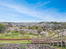 【東京都/東大和市高木】東大和市高木3丁目　戸建 都立狭山公園（現地より約1,260m）：
