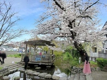 【東京都/日野市大字日野】日野市大字日野　戸建  根川緑道　親水広場（現地より約1,700m）