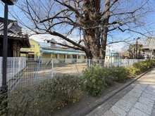 【東京都/世田谷区代沢】世田谷区代沢三丁目　中古戸建 淡島幼稚園（現地より約240m）