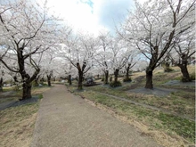 【神奈川県/横浜市旭区南本宿町】旭区南本宿町　新築戸建  こども自然公園(大池公園)（現地より約400m）：公園内のバーベキュー場