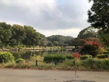 【神奈川県/横浜市泉区緑園】泉区緑園6丁目　中古戸建 こども自然公園（現地より約750m）：