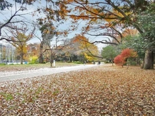 【東京都/目黒区東が丘】目黒区東が丘2丁目　中古戸建 駒沢オリンピック公園（現地より約677m）