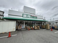 【兵庫県/伊丹市瑞ケ丘】伊丹市瑞ケ丘4丁目 中古戸建 業務スーパー　伊丹店（現地より約450m）