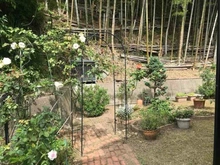 【京都府/京都市伏見区桃山町本多上野】京都市伏見区桃山町本多上野 中古一戸建て 