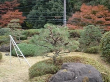 【京都府/京都市左京区修学院檜峠町】京都市左京区修学院檜峠町 中古一戸建て 