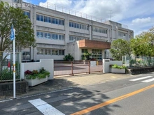 【千葉県/柏市花野井】柏市花野井 新築一戸建て 周辺施設