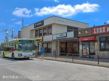 【東京都/板橋区常盤台】板橋区常盤台3丁目 新築一戸建て 周辺施設