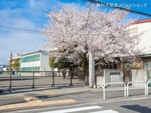 【神奈川県/相模原市南区古淵】相模原市南区古淵6丁目 新築一戸建て 周辺施設