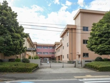 【神奈川県/相模原市南区東林間】相模原市南区東林間6丁目 新築一戸建て 周辺施設