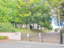 【神奈川県/横浜市青葉区新石川】横浜市青葉区新石川3丁目 新築一戸建て 周辺施設