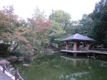 【東京都/杉並区堀ノ内】杉並区堀ノ内3丁目 新築一戸建て 蚕糸の森公園（現地より約550m）