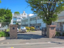 【埼玉県/川口市大字芝】川口市大字芝 新築一戸建て 周辺施設