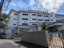 【東京都/江戸川区大杉】江戸川区大杉5丁目 新築一戸建て 周辺施設