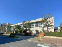 【東京都/葛飾区柴又】葛飾区柴又6丁目 新築一戸建て 周辺施設