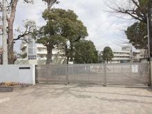 【千葉県/市川市真間】市川市真間5丁目 新築一戸建て 周辺施設