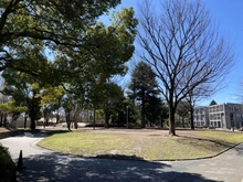 【埼玉県/さいたま市浦和区常盤】さいたま市浦和区常盤7丁目　戸建 北浦和公園（現地より約600m）