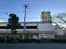 【神奈川県/横浜市鶴見区下野谷町】鶴見区下野谷町1丁目　新築戸建 ライフ鶴見下野谷町店（現地より約80m）