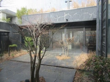 【神奈川県/横浜市栄区野七里】横浜市栄区野七里二丁目　土地戸建 庭