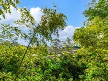 【神奈川県/藤沢市大鋸】藤沢市大鋸3丁目 一戸建 眺望：ダイニングキッチンから