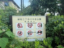 【東京都/西東京市緑町】西東京市緑町2丁目戸建 緑町二丁目けやき公園（現地より約10m）