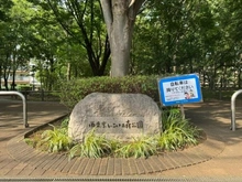 【東京都/西東京市緑町】西東京市緑町2丁目戸建 西東京いこいの森公園（現地より約160m）