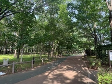 【東京都/西東京市緑町】西東京市緑町2丁目戸建 西東京いこいの森公園（現地より約160m）