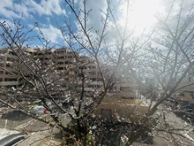 【東京都/大田区南雪谷】大田区南雪谷5丁目　戸建 眺望