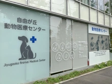 【東京都/目黒区八雲】目黒区八雲　戸建 自由が丘動物医療センター（現地より約450m）：ドッグサロン併設