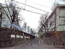 【神奈川県/川崎市麻生区千代ケ丘】川崎市麻生区千代ヶ丘8丁目中古戸建 千代ヶ丘小学校(現地より約223m):