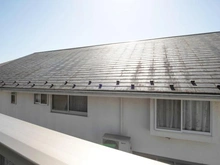 【神奈川県/川崎市麻生区東百合丘】川崎市麻生区東百合丘1丁目　新築戸建 眺望