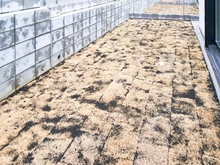 【東京都/稲城市東長沼】稲城市東長沼　新築戸建6号棟 敷地内