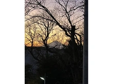 【神奈川県/鎌倉市梶原】鎌倉市梶原2丁目 眺望