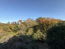 【神奈川県/横浜市港南区上大岡東】港南区上大岡東3丁目　中古戸建 眺望