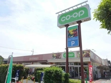 【東京都/小金井市貫井北町】小金井市貫井北町3丁目 全3棟 3号棟 コープみらい回田店（現地より約1,000m）