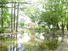 【東京都/小金井市貫井北町】小金井市貫井北町3丁目 全3棟 3号棟 つつじ公園（現地より約400m）