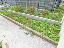 【東京都/杉並区成田東】杉並区成田東1丁目中古戸建 庭